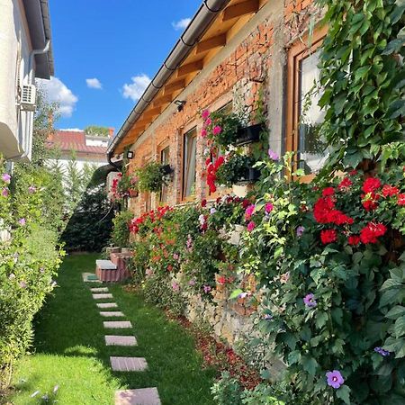 Flower House In The City Center! Приштина Экстерьер фото