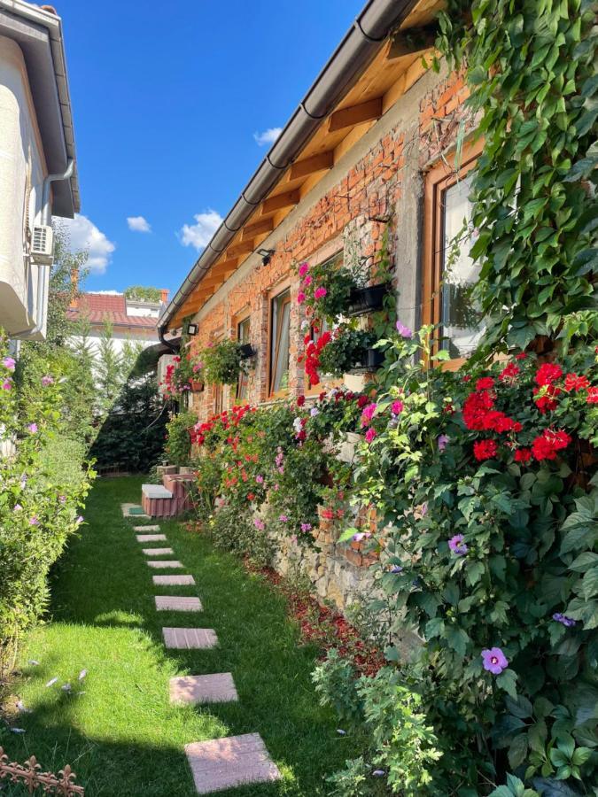 Flower House In The City Center! Приштина Экстерьер фото