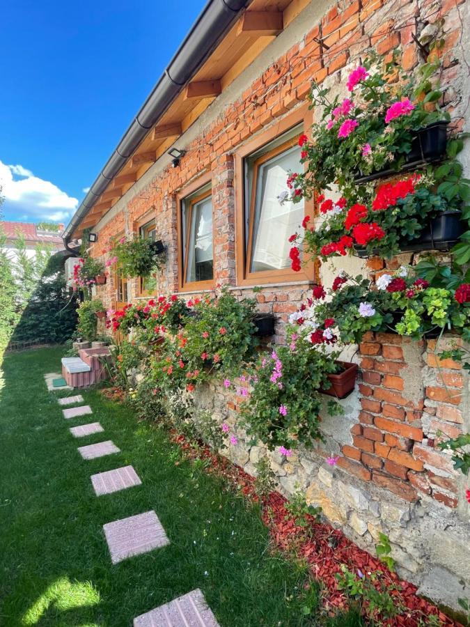 Flower House In The City Center! Приштина Экстерьер фото