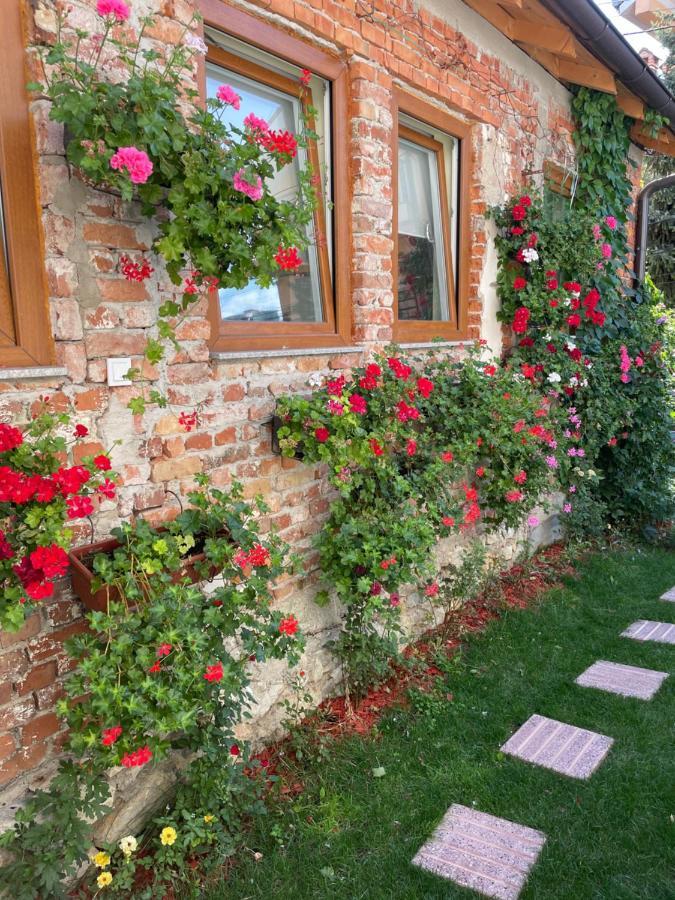 Flower House In The City Center! Приштина Экстерьер фото